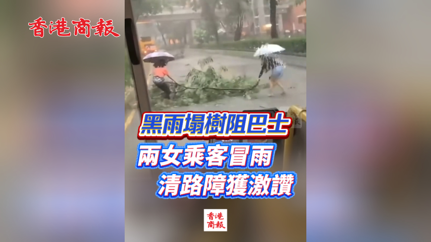 有片丨黑雨塌樹阻巴士 兩女乘客冒雨清路障獲激讚