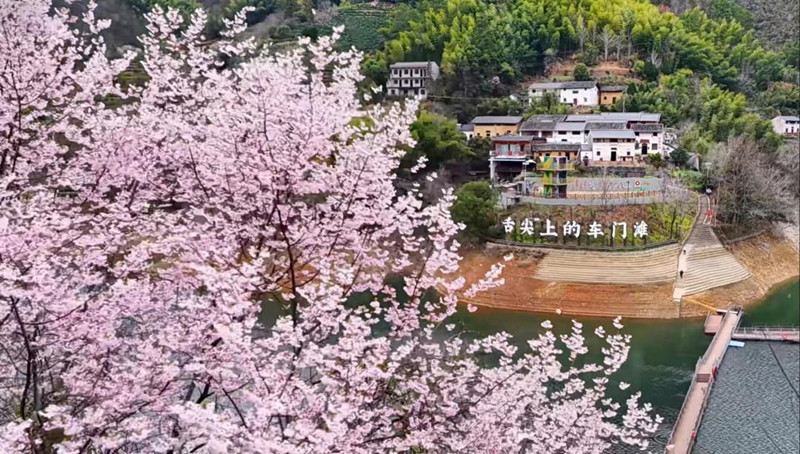 皖徽州區：深耕善治「責任田」 繪就基層「新圖景」