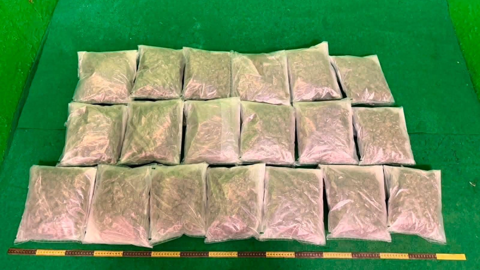 海關機場檢值340萬元氯胺酮及大麻花 拘捕2男