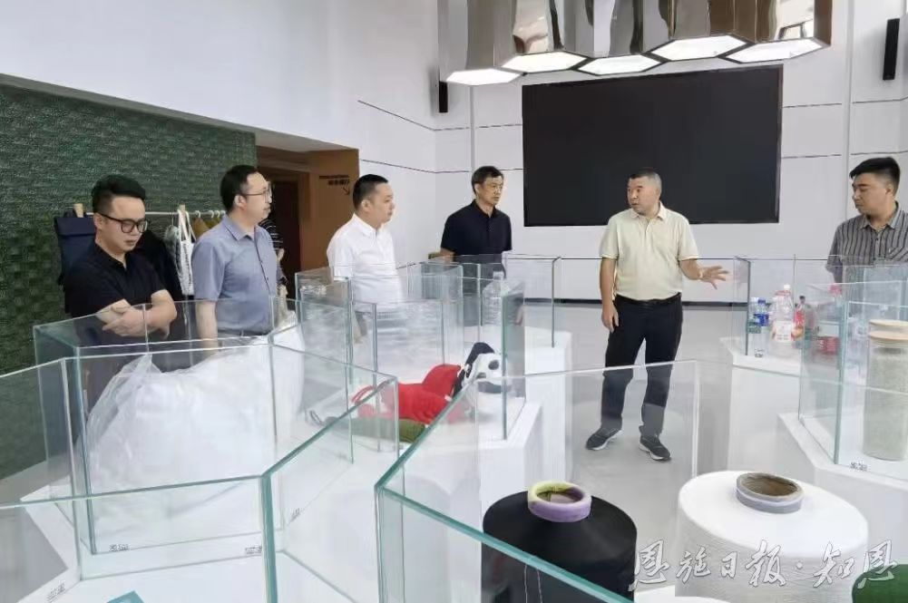 粽香敘鄉情 歸雁謀新篇——恩施州端午期間密集開展「楚商回鄉」招商活動紀實