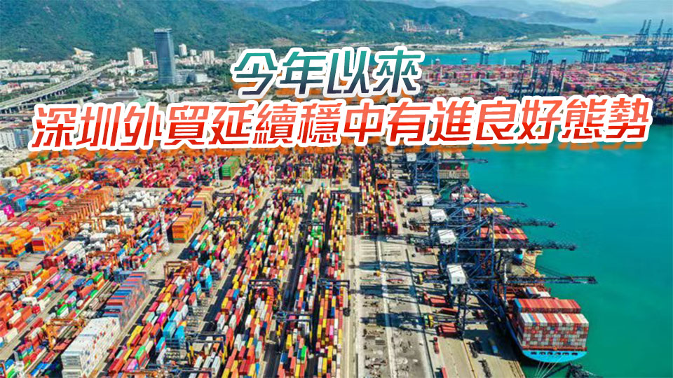 同比增長31.1% 今年前5個月深圳進出口規模繼續保持內地城市首位