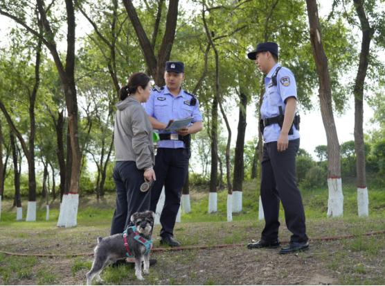 冰城公安織密宣傳網 文明養犬浸潤煙火城