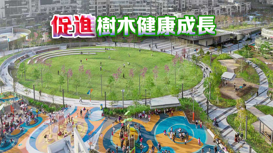 發展局：推動優質園境規劃及可持續樹木管理 提升宜居度與公眾安全