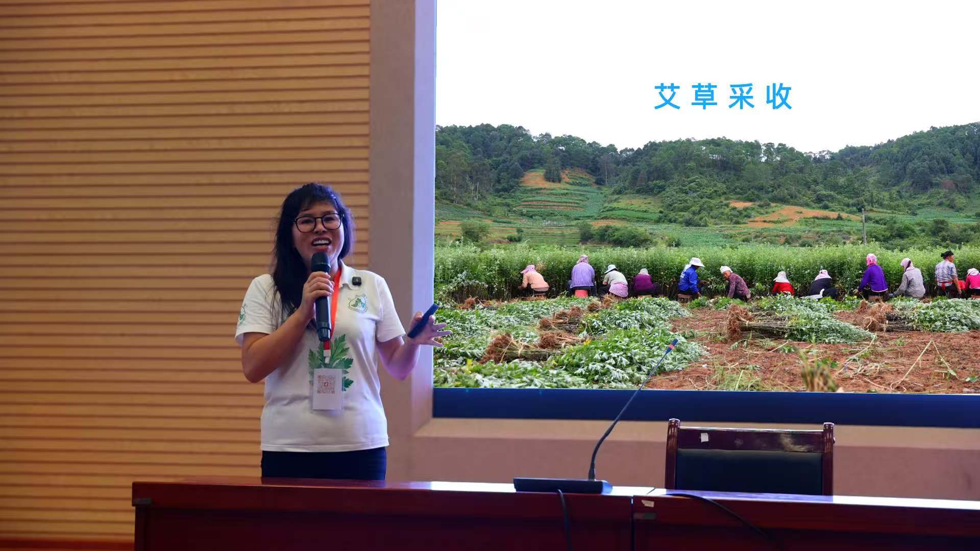 天媛生物科技深耕艾草實業 天媛生物賦能全民創業