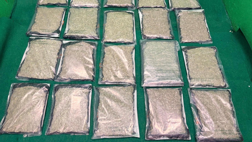 海關機場檢值180萬元大麻花 拘捕曼谷抵港29歲女子