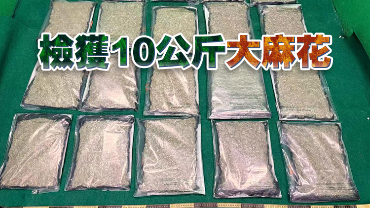 海關機場檢值180萬元大麻花 拘捕曼谷抵港29歲女子