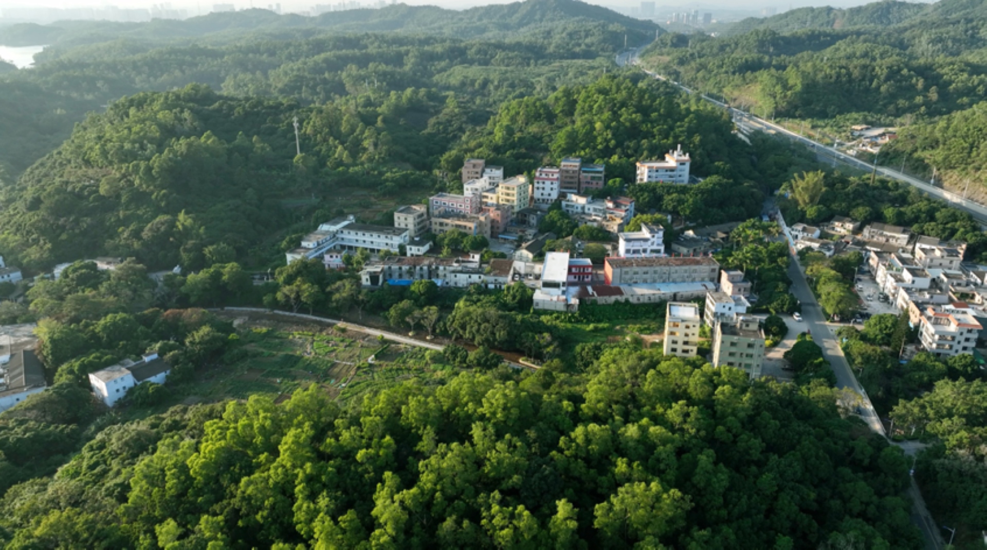 多點發力提質效！深圳坪山「百千萬工程」添新景