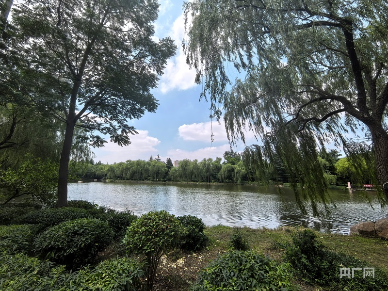 濰水畔鋪青綠 鄉野山間繪就宜居新景