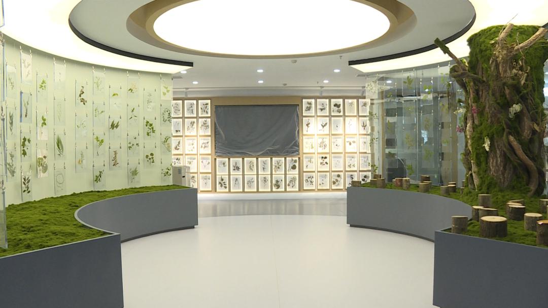 生物多樣性科普新載體成型 神農架國家公園標本館進入收尾施工階段