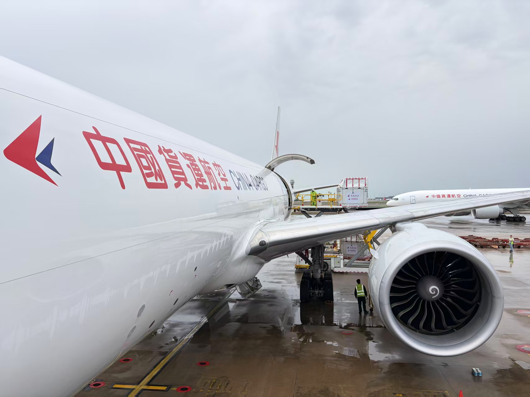有片︱完善洲際多點佈局  東航物流首單巴黎直運馬匹順利抵滬