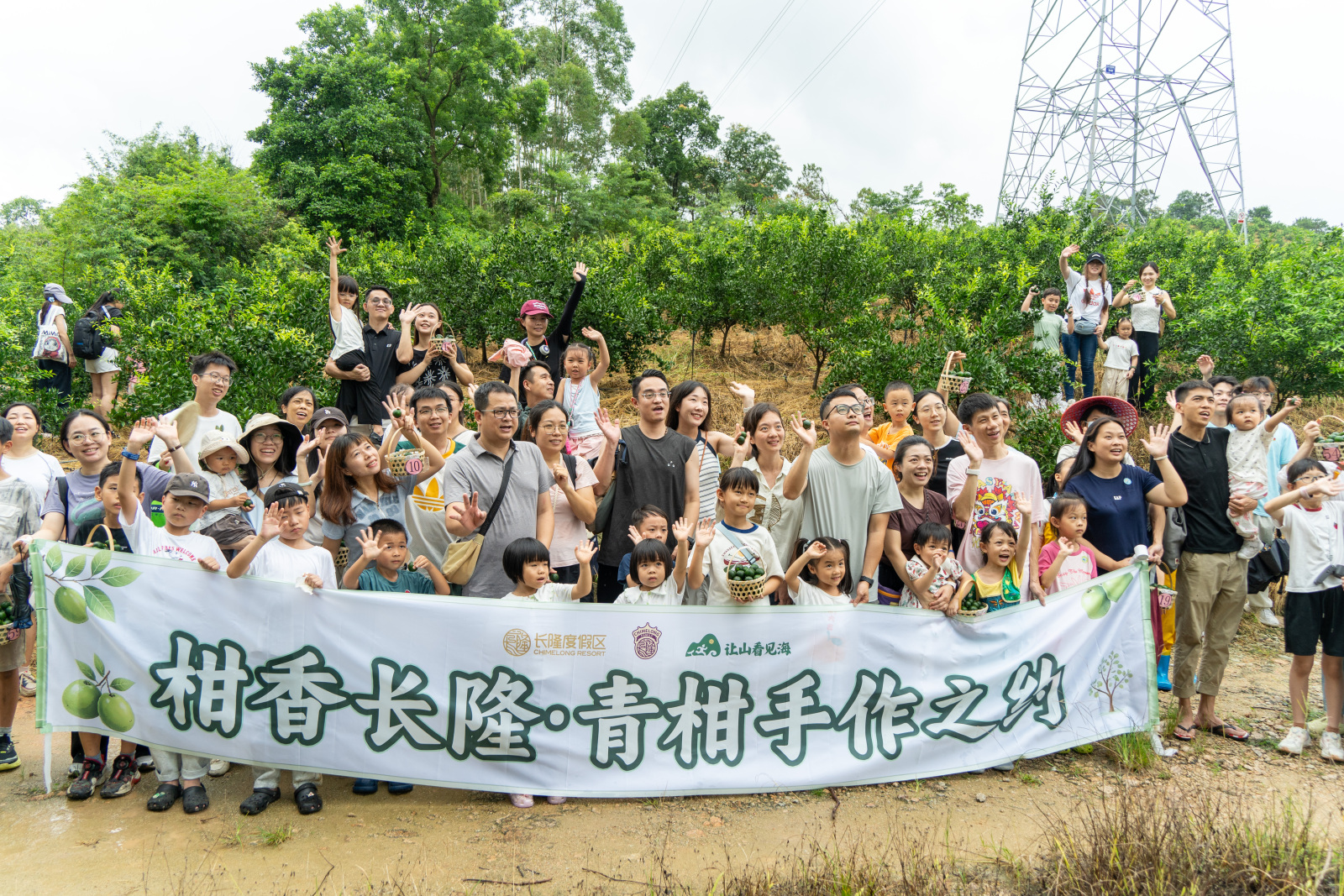 「讓山看見海」 一顆小青柑繪就長隆農文旅融合新路徑