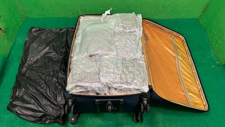 海關偵破販毒案檢獲約22公斤懷疑大麻花 57歲日籍男子被捕