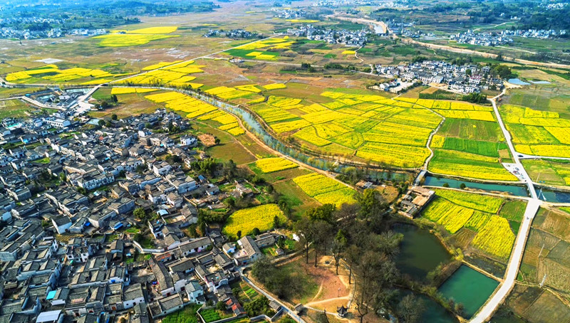 【港商觀察】「美」起來「活」起來「旺」起來 皖黟縣南屏古村「華麗變身」
