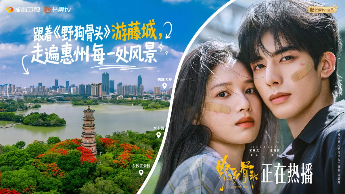 有片︱《野狗骨頭》熱播！宋威龍張婧儀全程惠州取景