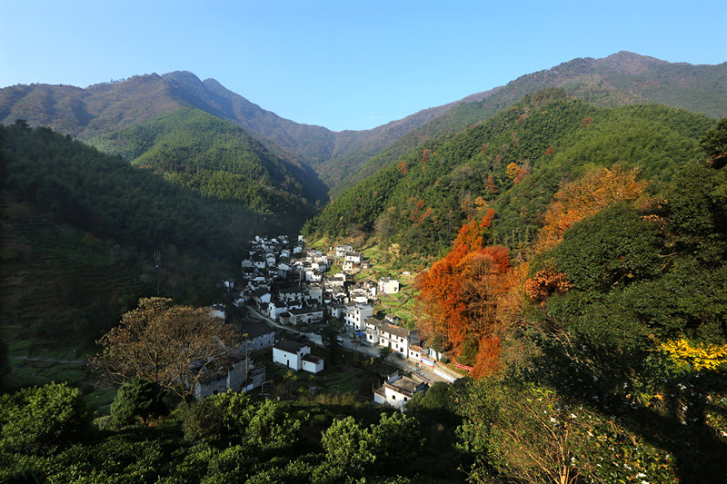 皖休寧縣石屋坑：紅魂綠韻繪新篇