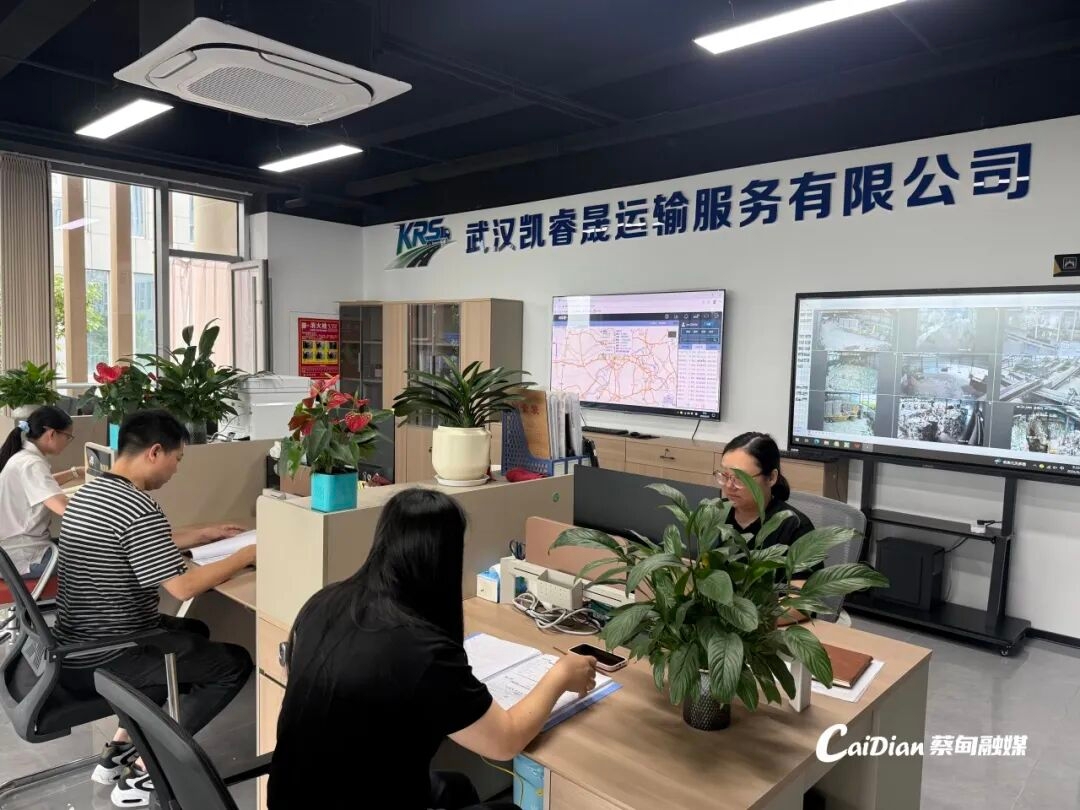 變固廢為再生資源 蔡甸這家綠色企業年消納十餘萬噸廢棄物打造循環發展樣板