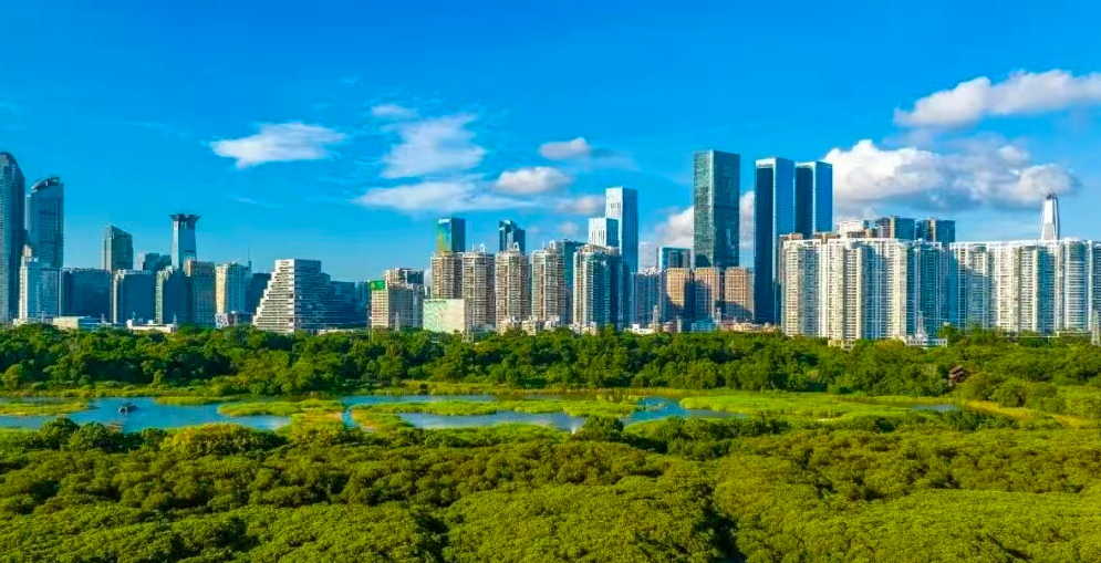 2026年APEC林業部長級會議7月27-28日在深圳舉辦