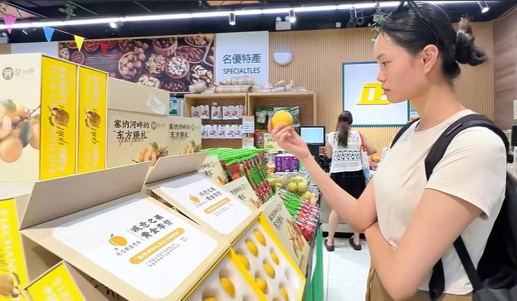 深耕港澳  開啟「標準化出海」之路  粵北深山好物樂昌黃金柰李登上全球貨架