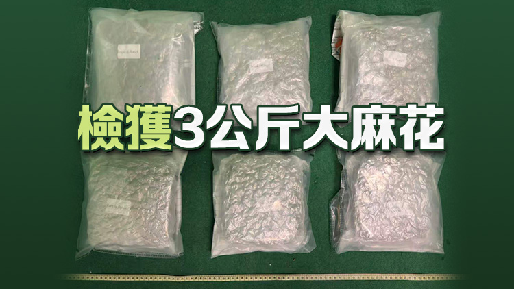 海關機場檢值50萬元大麻花 拘捕19歲馬來西亞籍男子