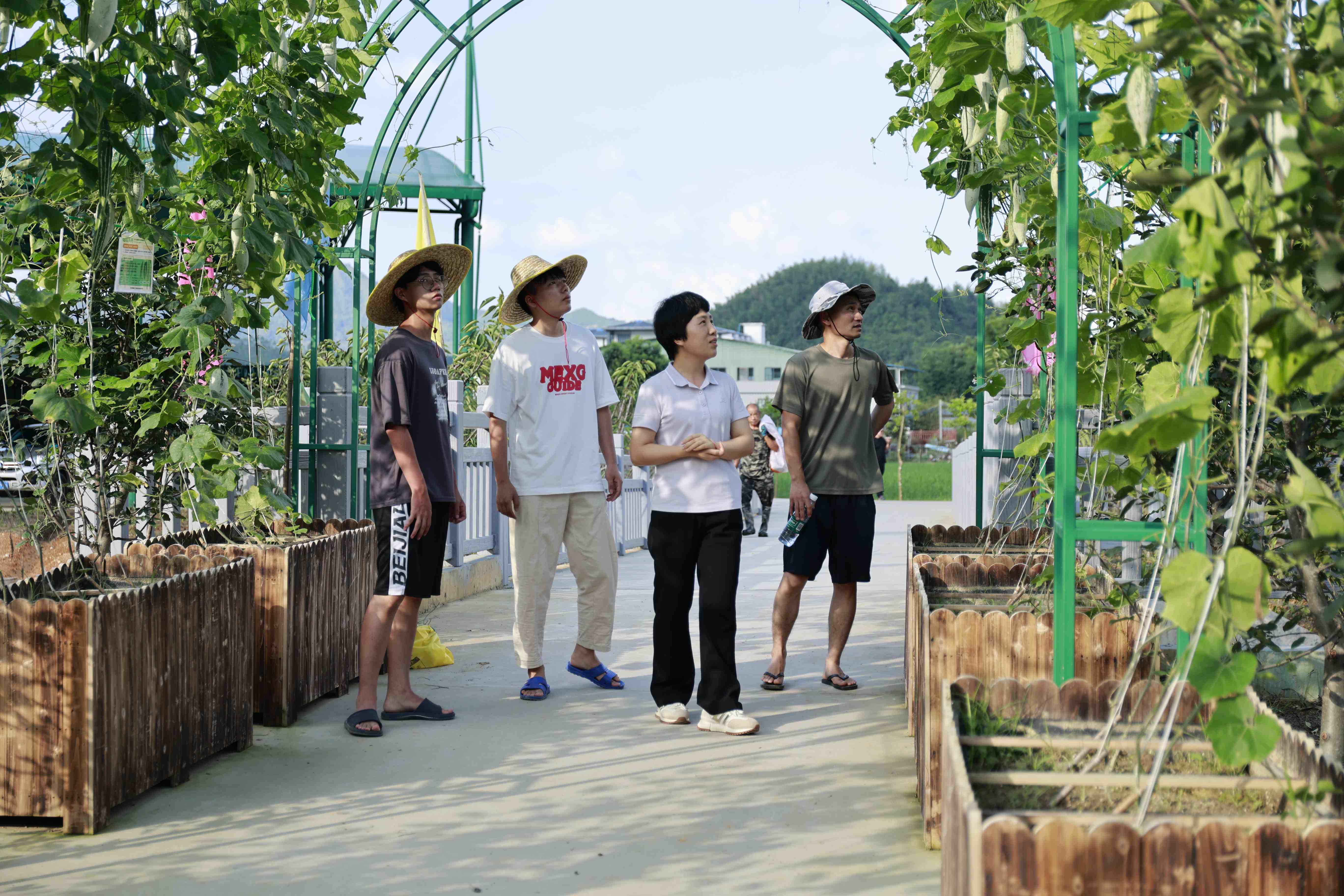 韶關新豐：黨建紅引領發展美  畲族女書記深耕鄉村繪振興