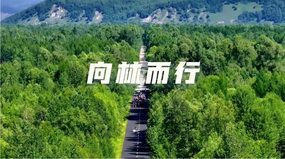 有片｜2026年大興安嶺·塔河第八屆全國森林自行車賽即將鳴槍開賽