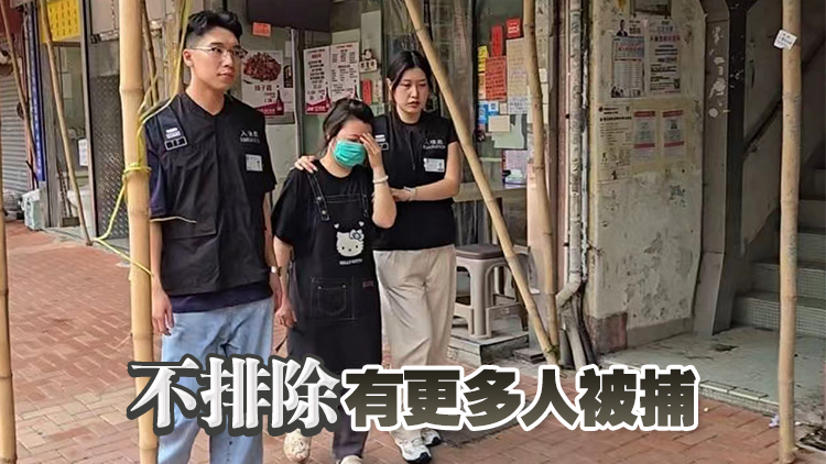 入境處展開反非法勞工行動 共拘29人