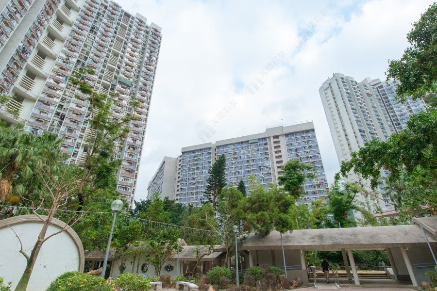 港樓 │ 港置：次季公屋註冊按季跌10%