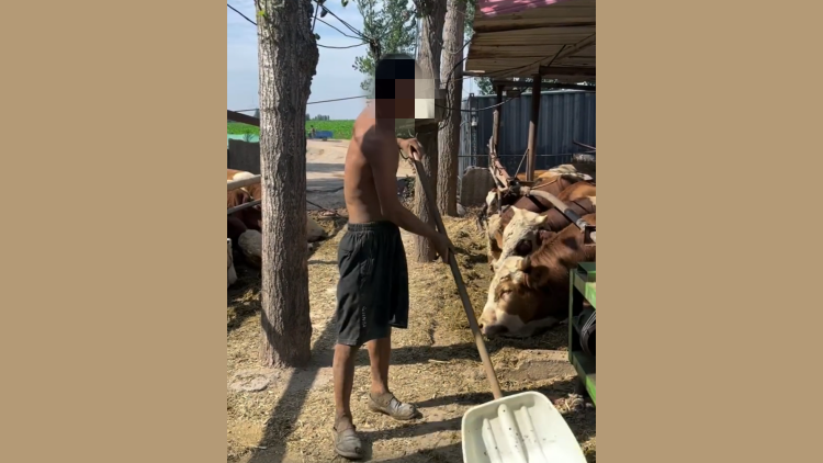 養牛場疑長期用殘障人士作苦力：已被親屬接回，正進一步調查