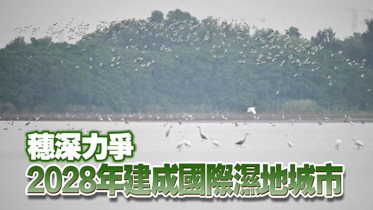 廣東啟動珠三角大美濕地體系建設