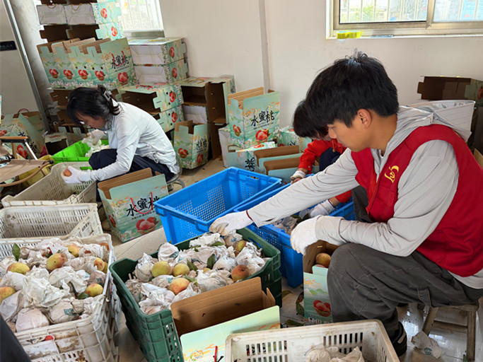 7支先鋒隊情系千萬家  皖黟縣宏潭「紅馬甲」暖民心