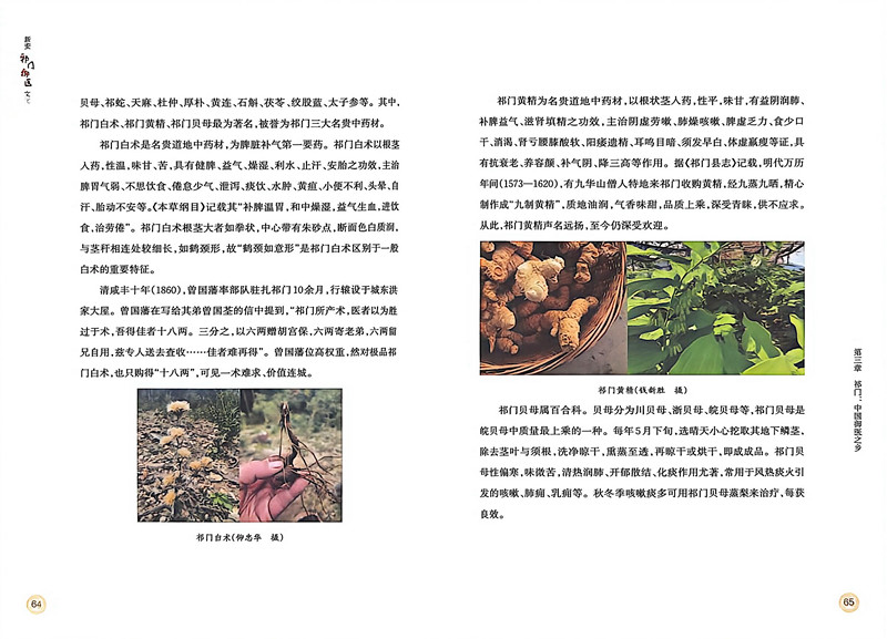 皖祁門縣：《新安祁門御醫文化》面世