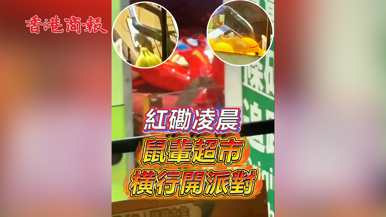 有片丨紅磡凌晨 鼠輩超市橫行開派對