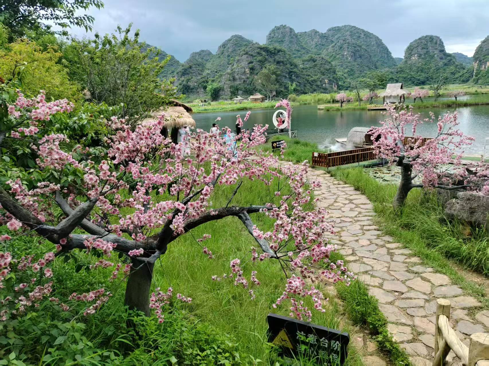 一湖清水引客棲 普者黑繪就生態旅居新畫卷