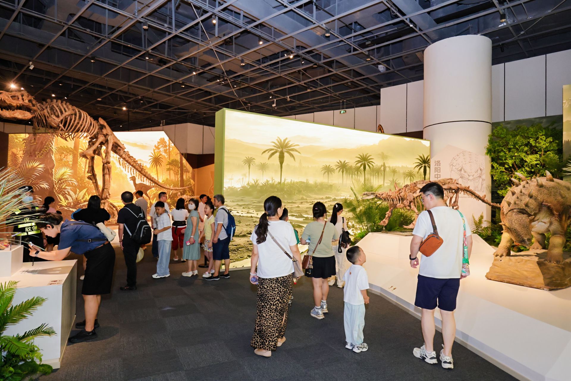 60餘件河南國寶級化石亮相蓉城 白堊紀恐龍特展成都自然博物館開展