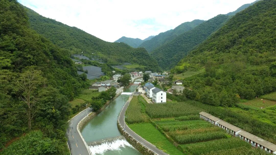 20℃清涼出圈 神農架林區激活全域避暑經濟