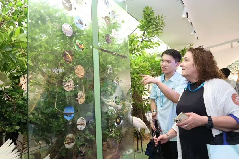 APEC藍色市民社區暑期學校在深圳大鵬圓滿落幕