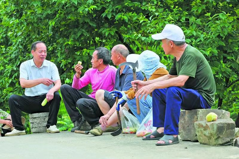 樹立正確政績觀｜初心聚民心 湖北穀城孫家溝村鄉村治理示範樣本探訪