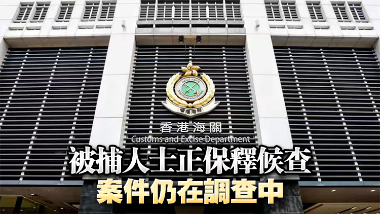 入境郵包襪子內藏33隻瀕危物種活龜 海關拘3名收件人