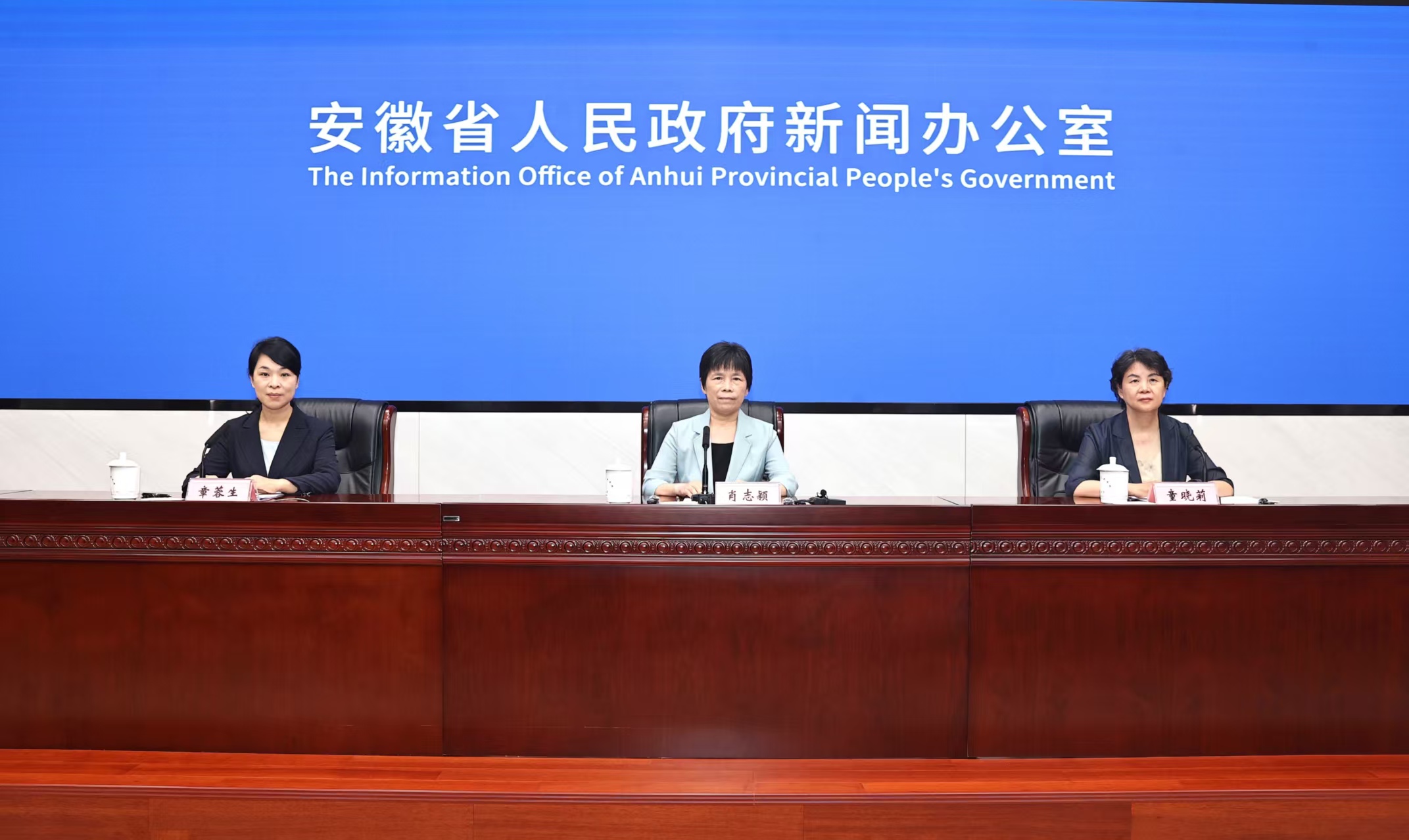 產業提質外貿領跑 安徽經濟穩健書寫半年佳績