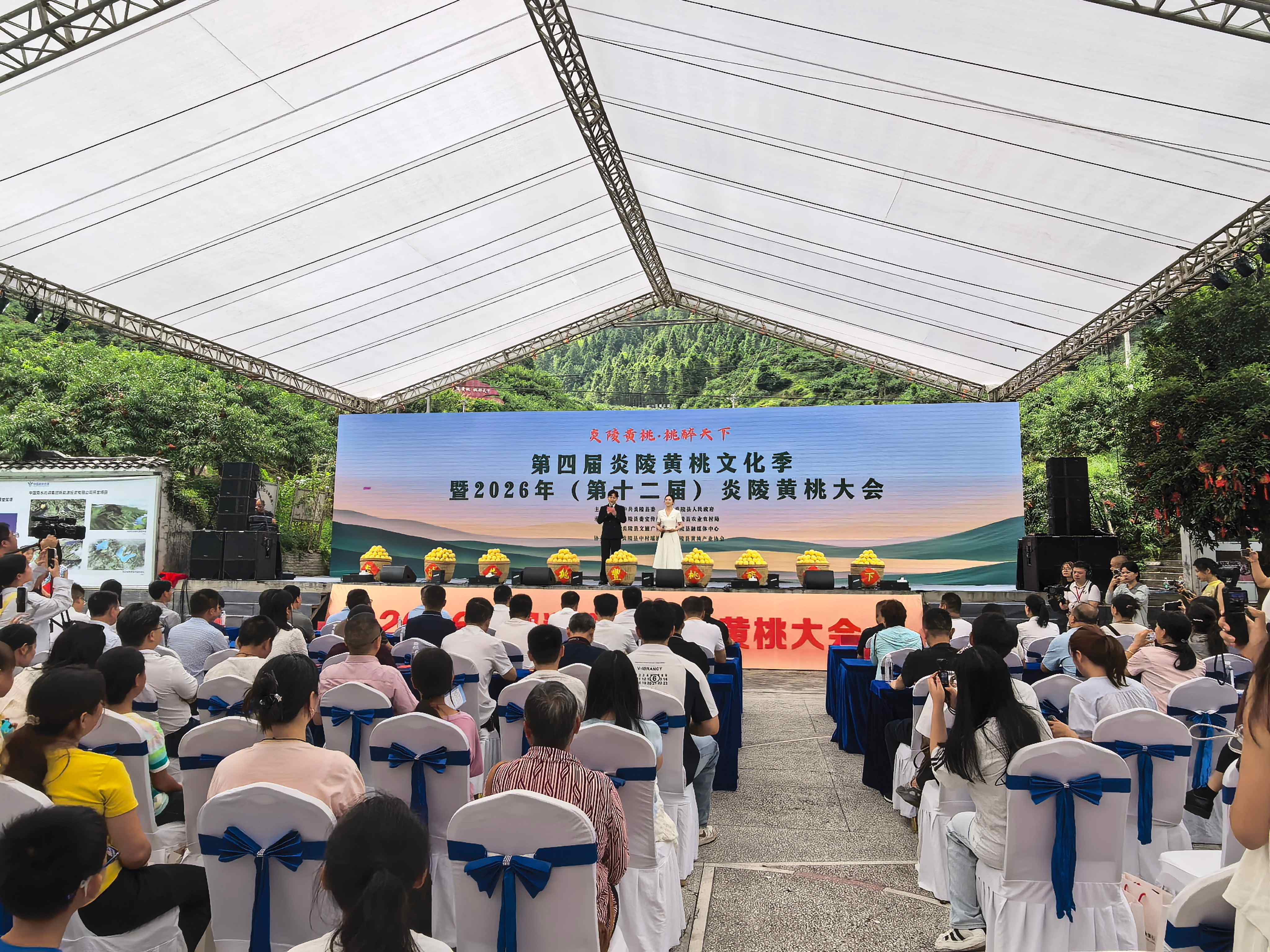 第四屆炎陵黃桃文化季啟幕  推出三條精品路線