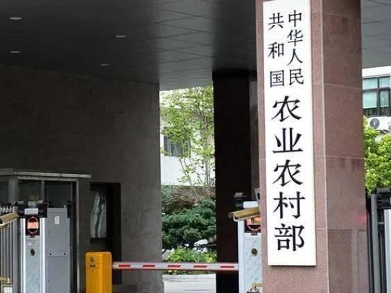 農業農村部組織開展我國台灣島以東管轄海域漁業資源調查
