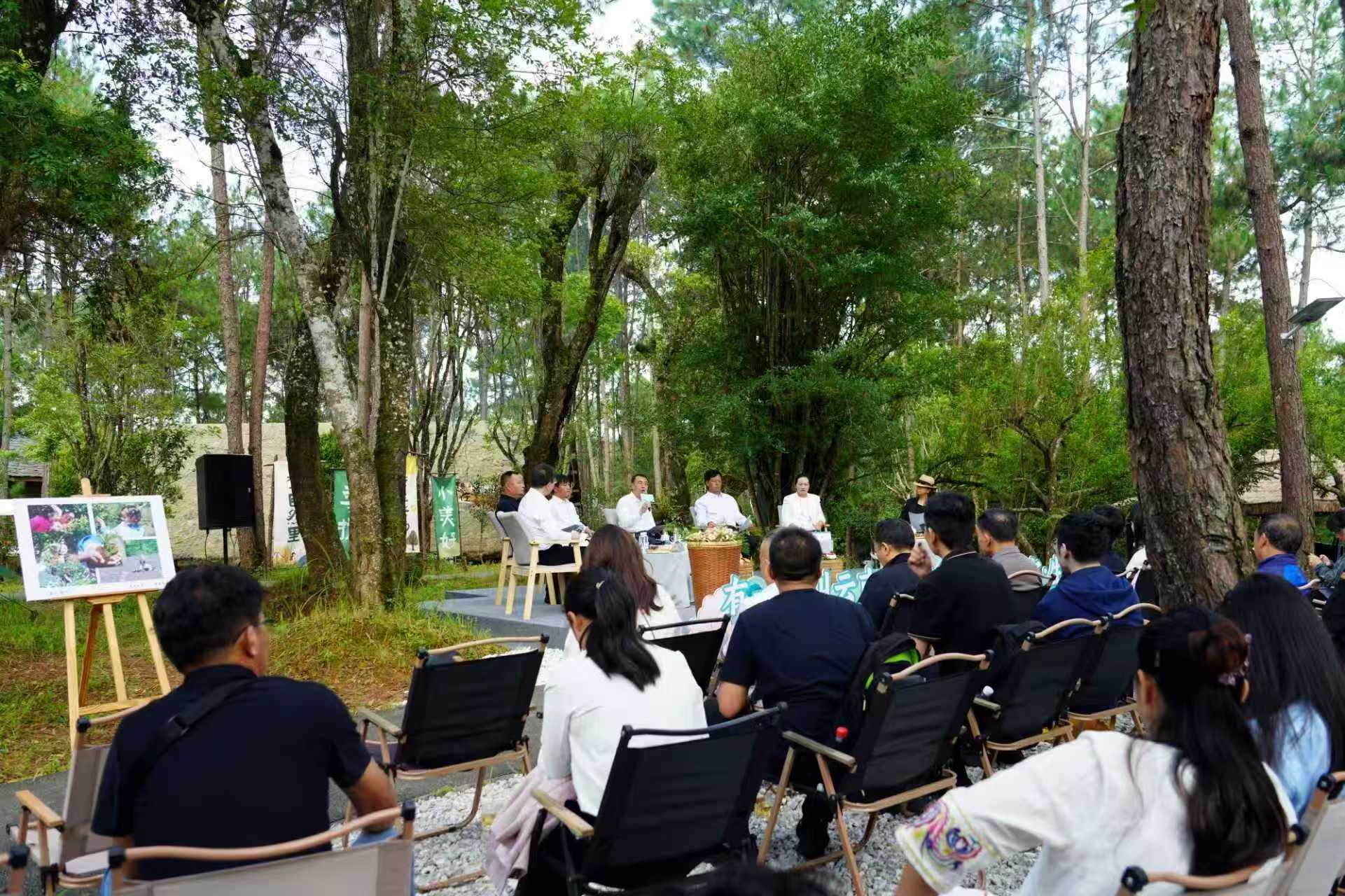 「有一種叫雲南的生活·綠滿昌寧·生態富民」高質量發展新聞發布會在昌寧舉行