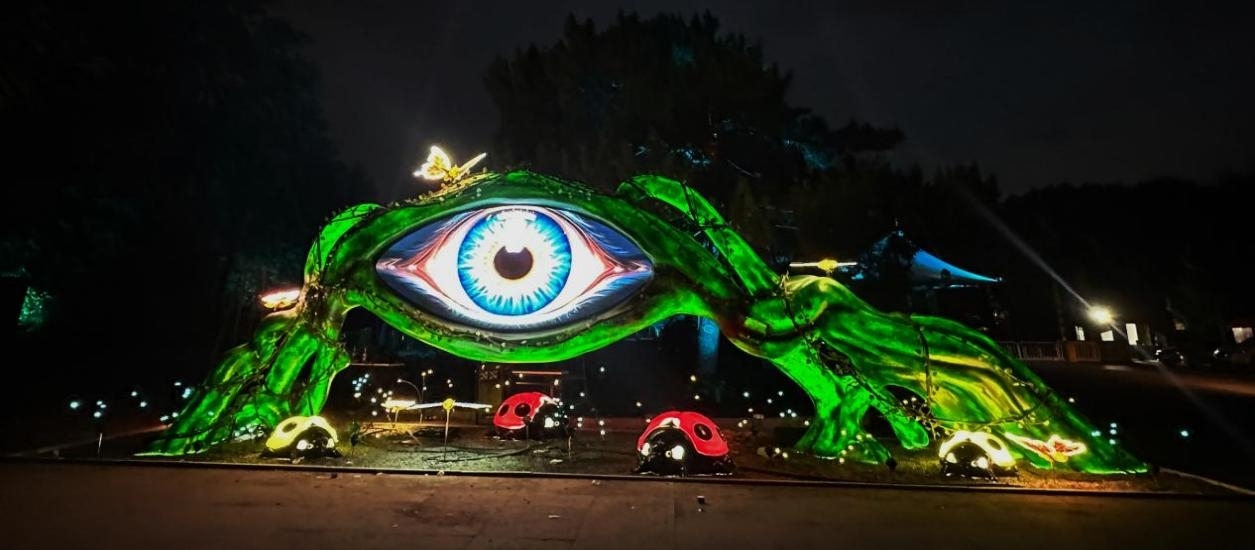 晝賞花海夜闖森林 瀋陽植物園「沐光森林奇妙夜」7月25日煥新啟幕