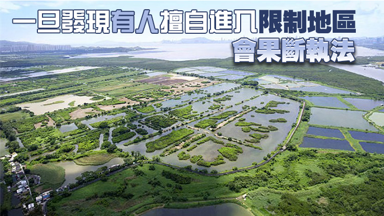米埔部分地區剔出邊境禁區 漁護署：進入米埔沼澤區仍須申領許可證
