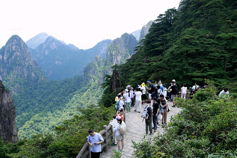 「跟着課本游黃山」 黃山風景區暑期游火熱