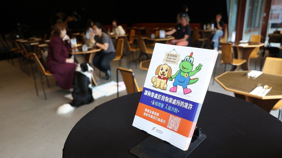 獲准狗隻進入食肆數目超970間 政府：政策實施兩周 整體情況穩定