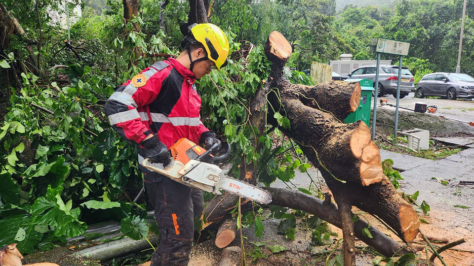 颱風紅霞 〡消防處處理189宗塌樹 兩避風塘船隻事故3人被困