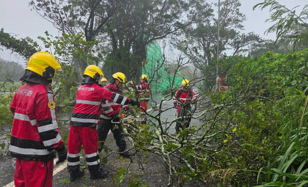 颱風紅霞丨截至中午21人風暴期間受傷 共331宗塌樹報告