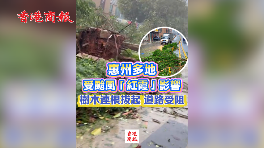 有片丨惠州多地受颱風「紅霞」影響 樹木連根拔起 道路受阻