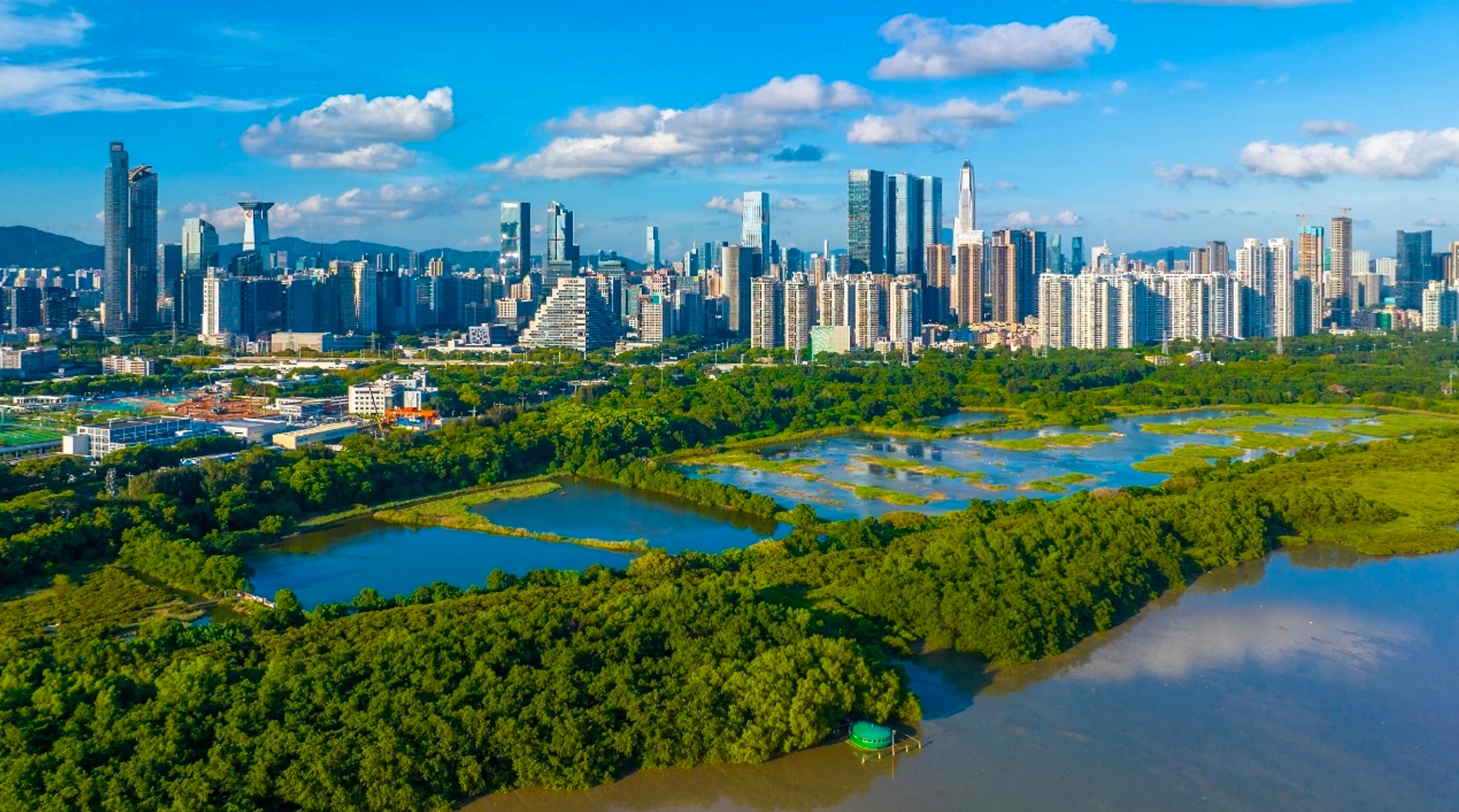 深港兩地共建大灣區植物園 開啟大灣區生態合作新篇章
